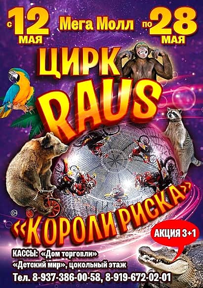 С 12 по 28 мая у Мега Молла в Чебоксарах цирк «Raus» c шоу «Короли риска» (0+).