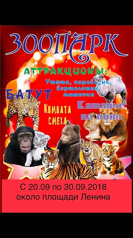 С 20.09.2018г. по 30.09.2018 г. в Канаше зоопарк.