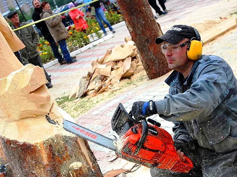 С 21 сентября в Чебоксарах – Международный студенческий фестиваль резьбы бензопилой.