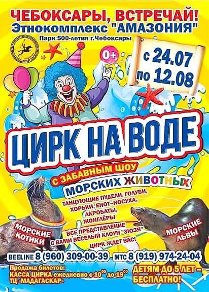 С 24 июля по 12 августа в парке «Амазония» в Чебоксарах «Цирк на воде».