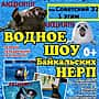 До 25 марта продлено водное шоу Байкальских нерп в Канаше.