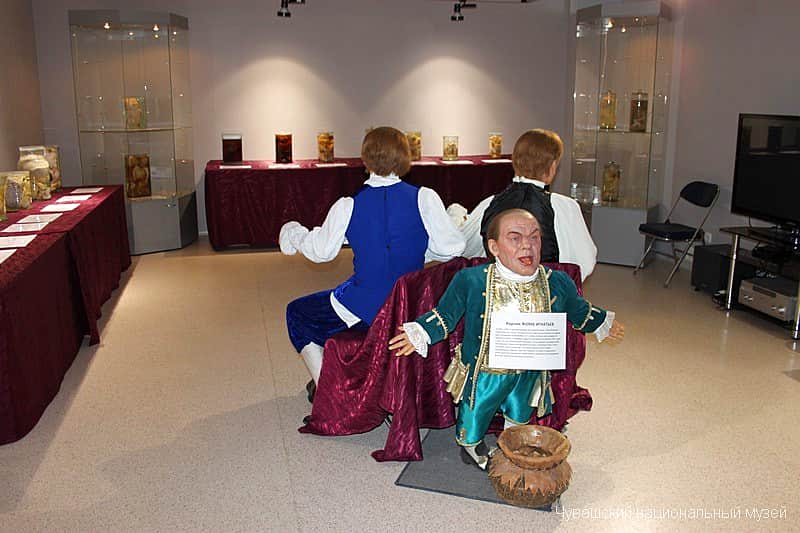 С 28 февраля в Чувашском национальном музее открывается передвижная коллекция из Кунсткамеры Петра I "Анатомия и патология человека".