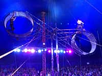 С 3 по 5 ноября в Канаше большой Омский цирк-шапито "Фараон" (фото №2).