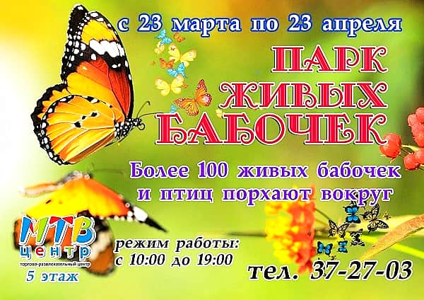 C 23 марта по 23 апреля в МТВ-центре в Чебоксарах выставка «Парк живых бабочек» (0+).