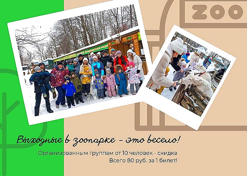 Посещать новочебоксарский зоопарк "Ельниковская роща" группой - дешевле.