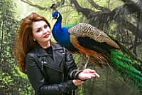 Только этой зимой с 12 по 23 декабря в г. Канаш будет работать замечательная контактная зоовыставка "Джуманджи"! (фото №2).