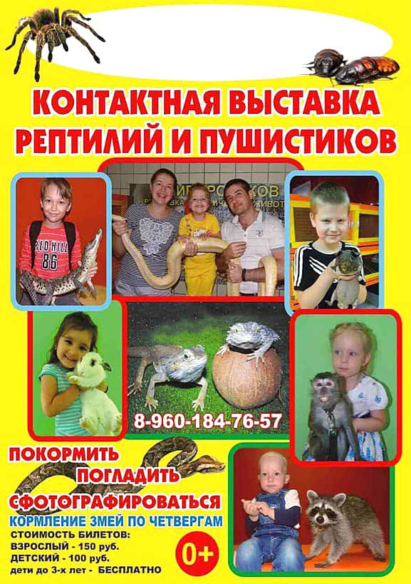 Контактная "Выставка рептилий и пушистиков" прошла в детском развлекательном центре "Туслах" в Канашском городском парке.