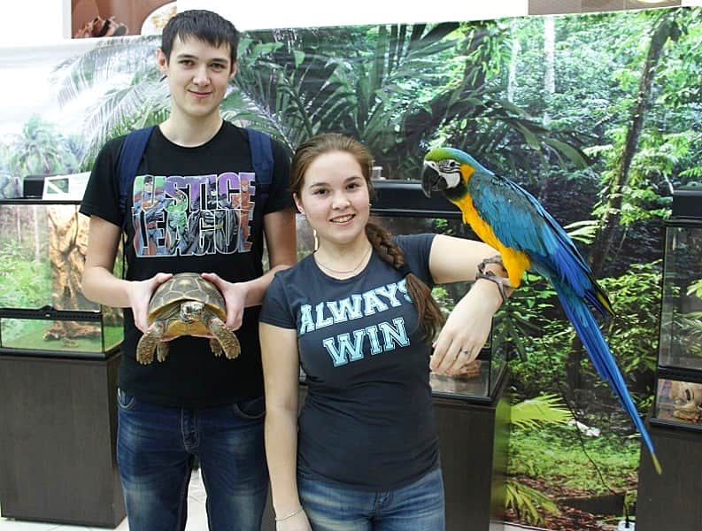 Всё лето на 5 этаже МТВ-центра в Чебоксарах работает "Контактный зоопарк".