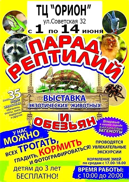 С 1 по 14 июня в ТЦ "Орион" г. Канаш выставка экзотических животных и обезьян.