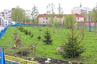 11 мая 2017 года на территории храма иконы Божией Матери «Всех скорбящих Радость» была организована и проведена экологическая акция «Посади дерево» (фото №3).