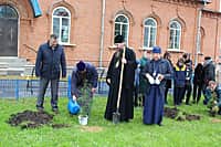 11 мая 2017 года на территории храма иконы Божией Матери «Всех скорбящих Радость» была организована и проведена экологическая акция «Посади дерево» (фото №5).