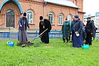 11 мая 2017 года на территории храма иконы Божией Матери «Всех скорбящих Радость» была организована и проведена экологическая акция «Посади дерево» (фото №7).