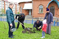 11 мая 2017 года на территории храма иконы Божией Матери «Всех скорбящих Радость» была организована и проведена экологическая акция «Посади дерево» (фото №8).