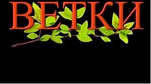 С 15 февраля в кинотетрах г. Чебоксары выходит в прокат художественный фильм о борьбе с наркоторговлей под названием "Ветки", созданный в Чувашской Республике.