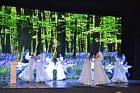 21 апреля в Чувашской государственной филармонии состоялись торжественные мероприятия, посвященные Дню местного самоуправления (фото №27).