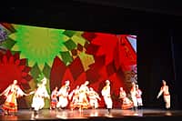 21 апреля в Чувашской государственной филармонии состоялись торжественные мероприятия, посвященные Дню местного самоуправления (фото №30).