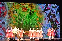 21 апреля в Чувашской государственной филармонии состоялись торжественные мероприятия, посвященные Дню местного самоуправления (фото №31).