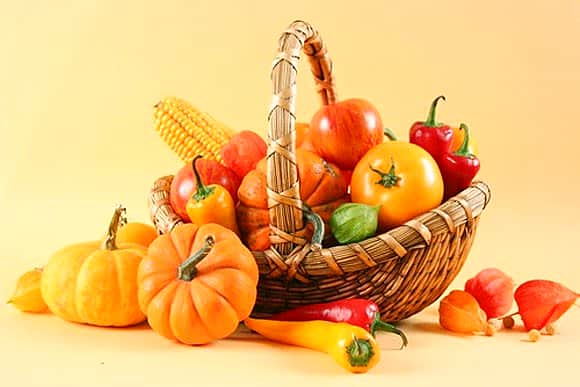 С 21 августа по 1 октября 2016г. на торговой площадке, расположенной по адресу: г. Канаш, ул. Московская, 12А, будет проведена ярмарка по реализации сельхозпродукции «Дары осени – 2016».