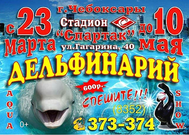 С 23 марта до 10 мая 2016 года на стадионе "Спартак" в Чебоксарах дельфинарий (0+).