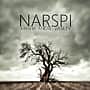 24 апреля в Национальной библиотеке Чувашской Республики в поддержку чтения «Библионочь 2015» состоится кинопоказ фильма «Нарспи».