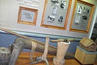 25 января в музей М.Сеспеля вход для студентов и Татьян – бесплатный (фото №7).