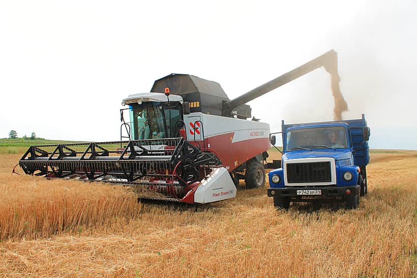 26 июля в Канашском районе приступили к уборке озимых зерновых культур.