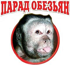 До 30 августа в Музейно-выставочном зале Национального музея г. Чебоксары выставка «Парад обезьян» (0+).