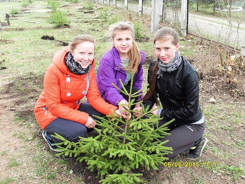 70 елей - к 70-летию Победы!
