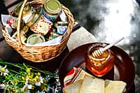 В Канашском МО открылся новый агротуристический комплекс «Сладкое золото Чувашии» (фото №16).