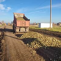 В деревнях Асхва и Большие Бикшихи Асхвинского сельского поселения стартовал долгожданный ремонт грунтовых дорог. (фото №6).