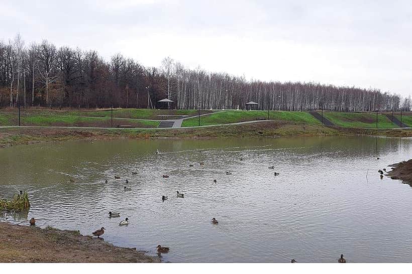 Работы по благоустройству малого пруда в городе Канаше будут начаты с 1 мая 2024 года.
