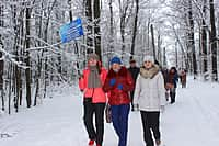 Более тысячи канашцев "прогулялись с врачом" по городскому парку культуры и отдыха (фото №21).