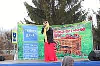 На центральной площади г. Канаш прошел праздник ко Дню защитника Отечества (фото №8).