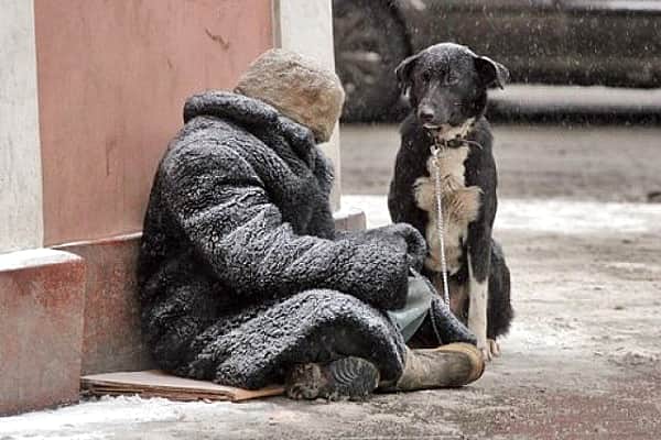 В Чебоксарах бездомным начнут помогать с трудоустройством.