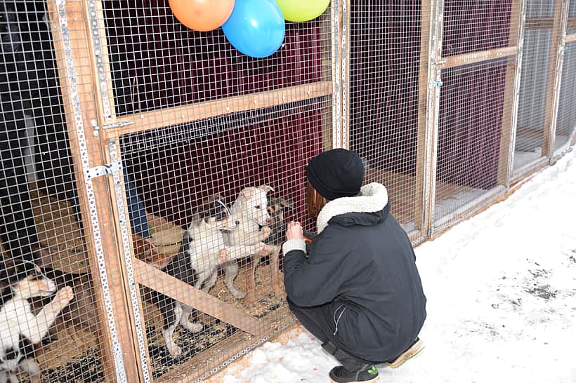 В Чебоксарах открыли центр передержки бездомных животных.