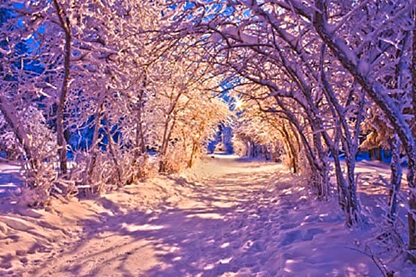 Чебоксарцы выбрали слоган концепции зимнего отдыха.