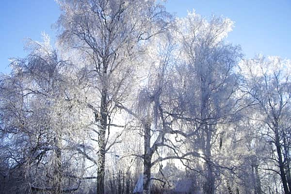 В четверг в Чувашии потеплеет.