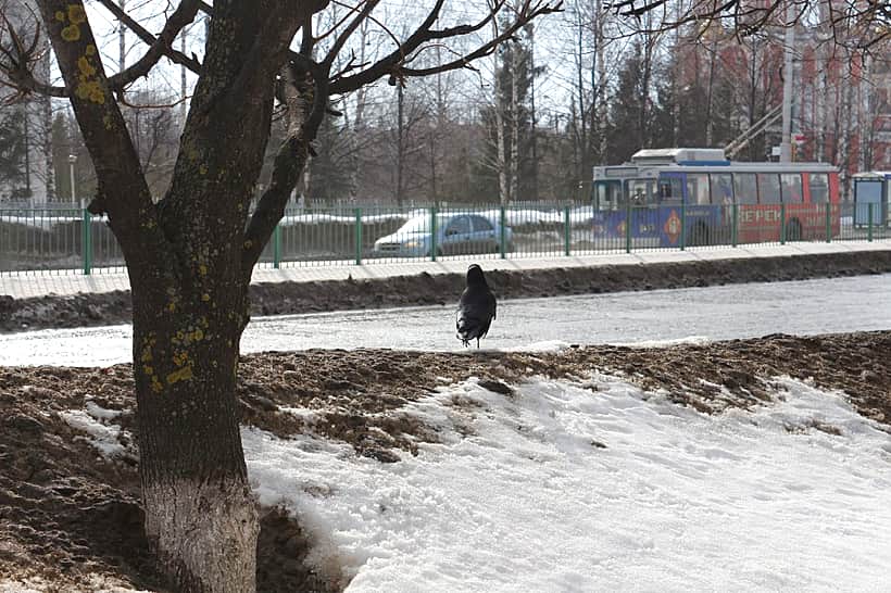 В четвертый раз подряд в Чувашию приходит ранняя весна. И каждый раз она начинается с теплых рекордов.