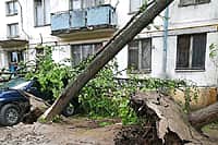 Число пострадавших при урагане в Москве приблизилось к 170‍.  Погибли из-за стихии 11 человек (фото №7).