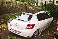 Число пострадавших при урагане в Москве приблизилось к 170. Погибли из-за стихии 11 человек (фото №9).