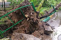 Число пострадавших при урагане в Москве приблизилось к 170. Погибли из-за стихии 11 человек (фото №10).