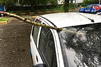 Число пострадавших при урагане в Москве приблизилось к 170. Погибли из-за стихии 11 человек (фото №11).