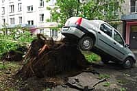 Число пострадавших при урагане в Москве приблизилось к 170‍.  Погибли из-за стихии 11 человек (фото №1).