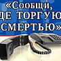 В Чувашии проводится Всероссийской антинаркотической акции "Сообщи, где торгуют смертью!".