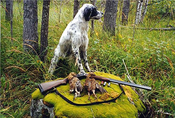 В Чувашии сезон охоты откроется 21 апреля.