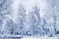 В Чувашию придут крещенские морозы (фото №1).