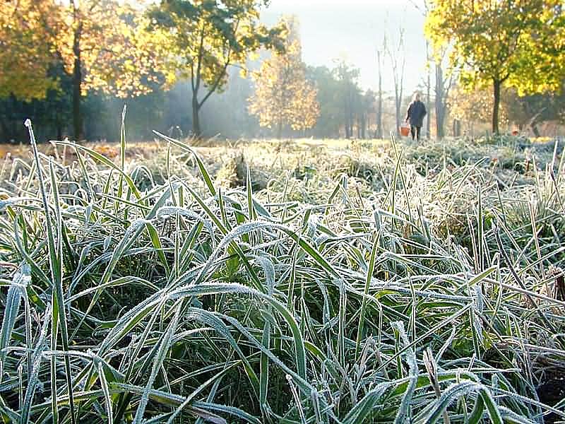 В Чувашию возвращается туманная погода с заморозками.