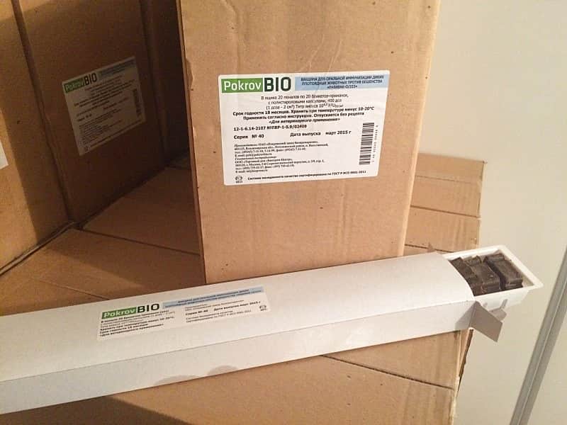 В Чувашской республике будет проведена вакцинация диких плотоядных животных против бешенства.