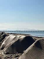 Чёрному морю помогают эковолонтеры Чувашии (фото №2).