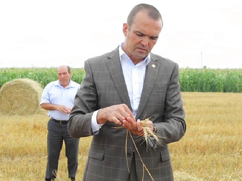 Из-за дождей в Чувашии прогнозируют потери урожая.